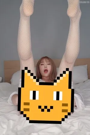 Maple.oh