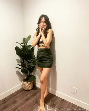 monnietings