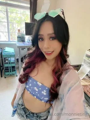 monnietings