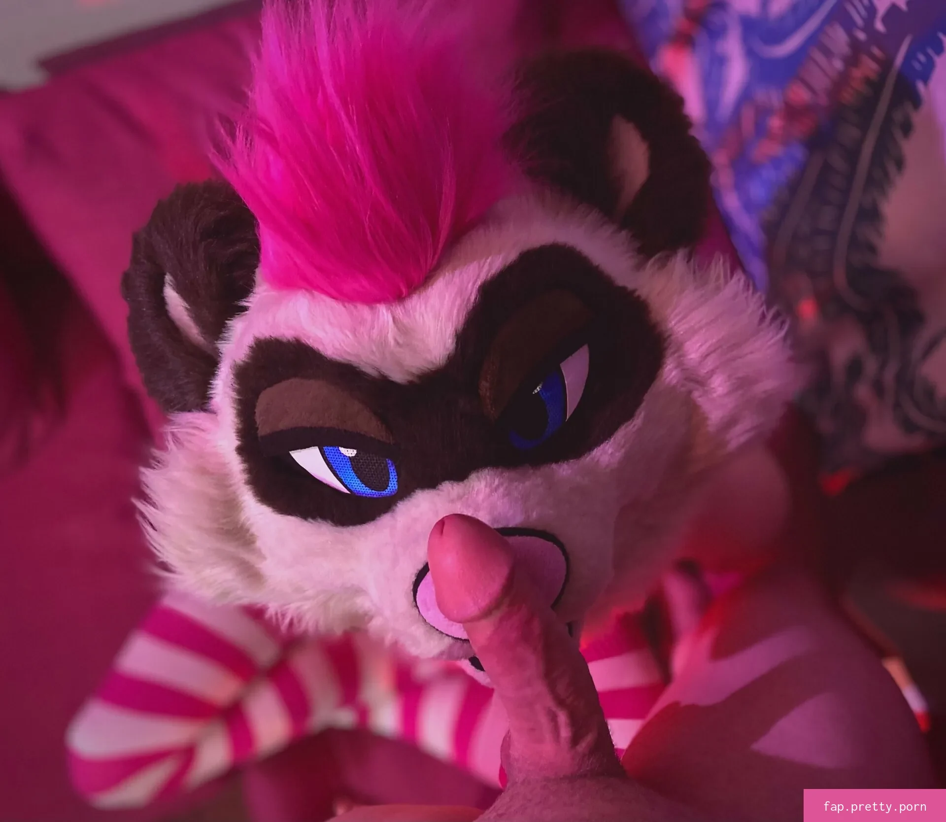 moremaitai - Photo #89