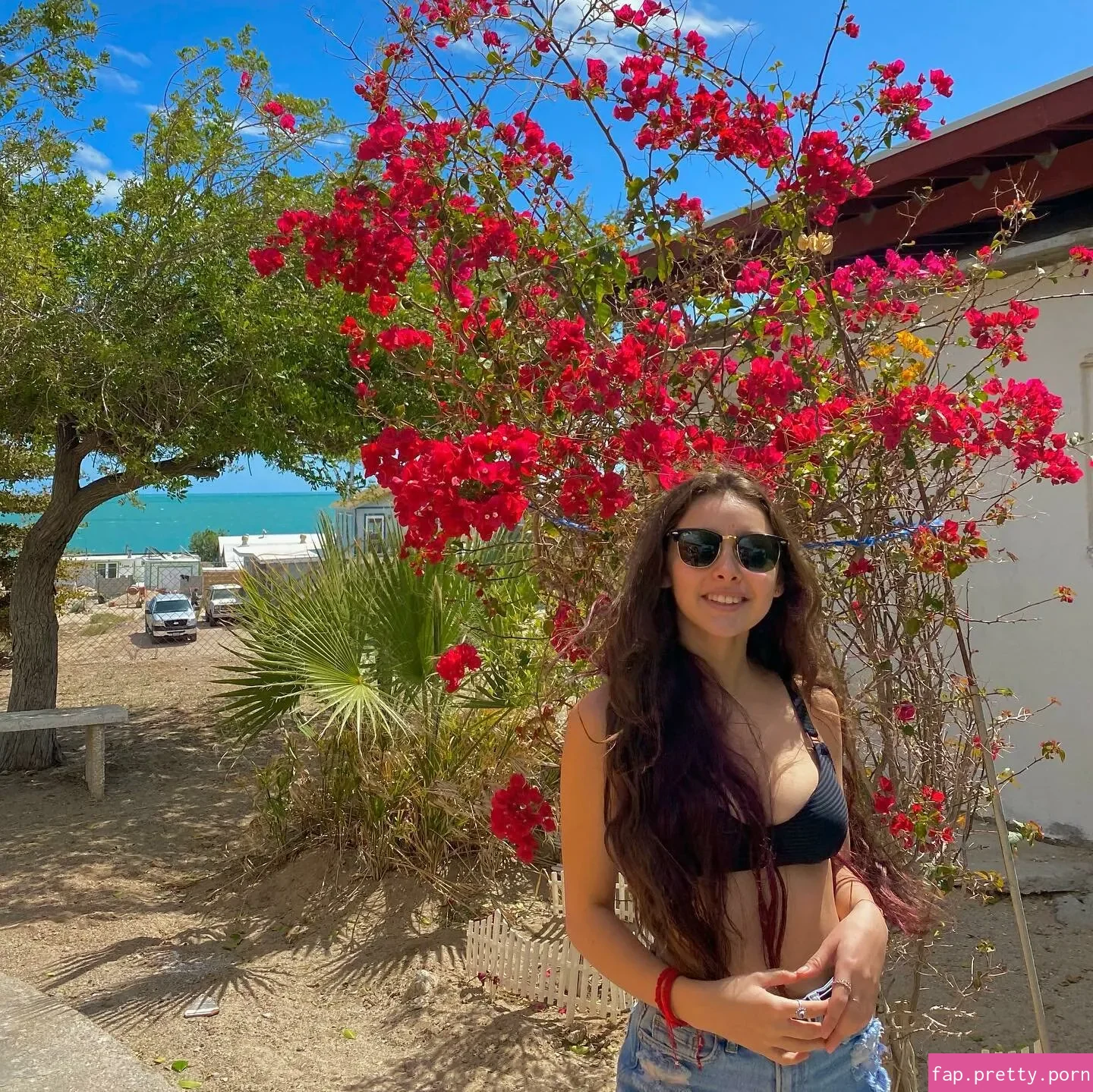 Melissa Prieto - Photo #11