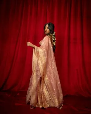 Maitreyi Ramakrishnan