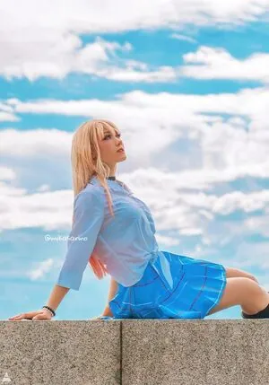 Mikasa Rino