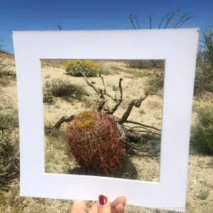 Marie Sweets content