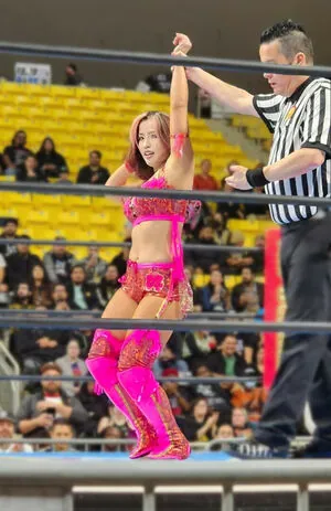 Mina Shirakawa