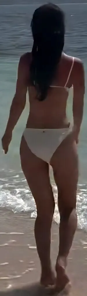 msdongan