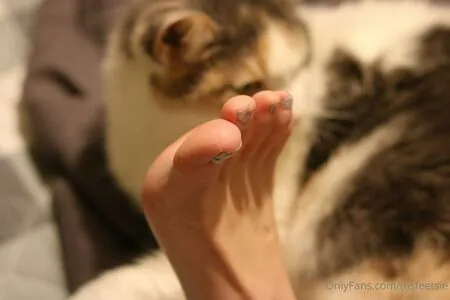 msfeetsie