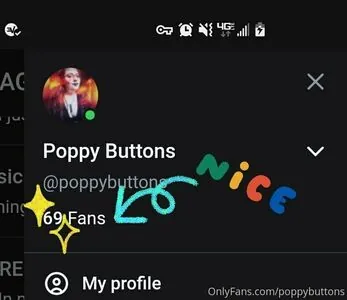 mspoppybuttons