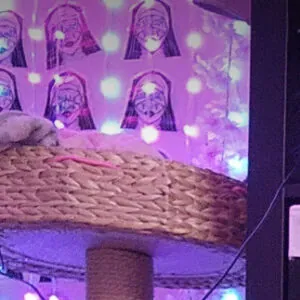 Mananaphobia / TheDemonsWolf