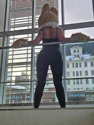 Murrsuit