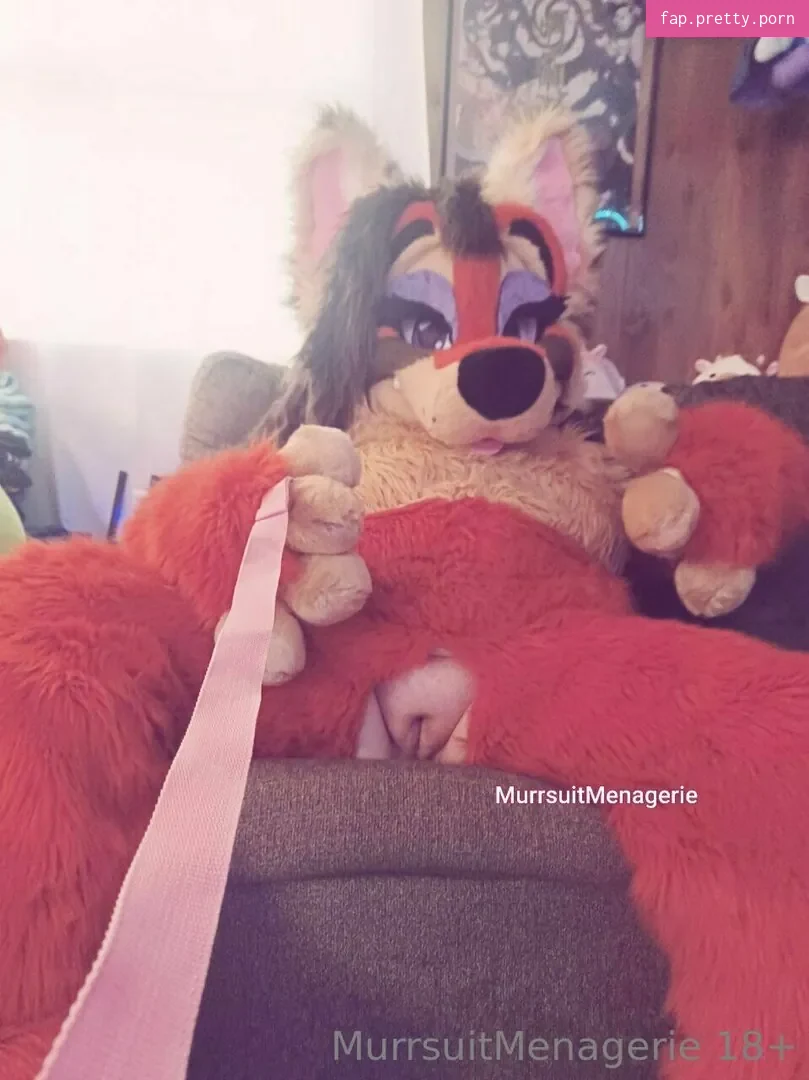 murrsuitmenagerie - Photo #06