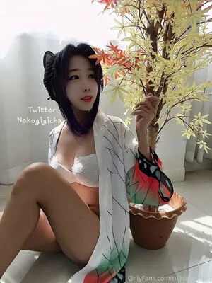 nekogigichan