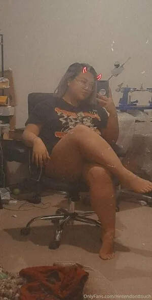nintendonttouch