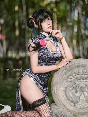 Nekoneko JX