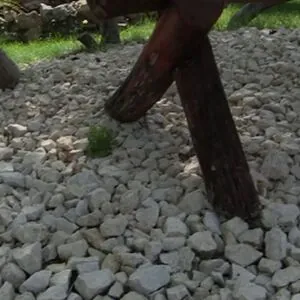 Nina_love1