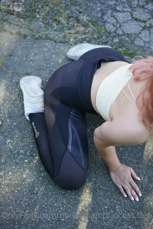 norwegian.princess.free