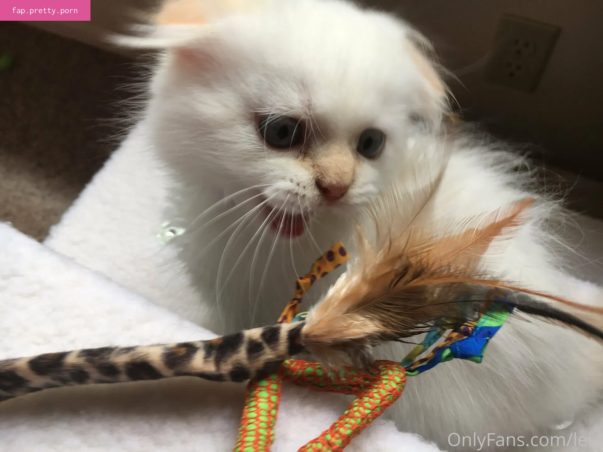 NSFWLeia - Photo #45