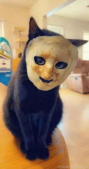Oheekolts