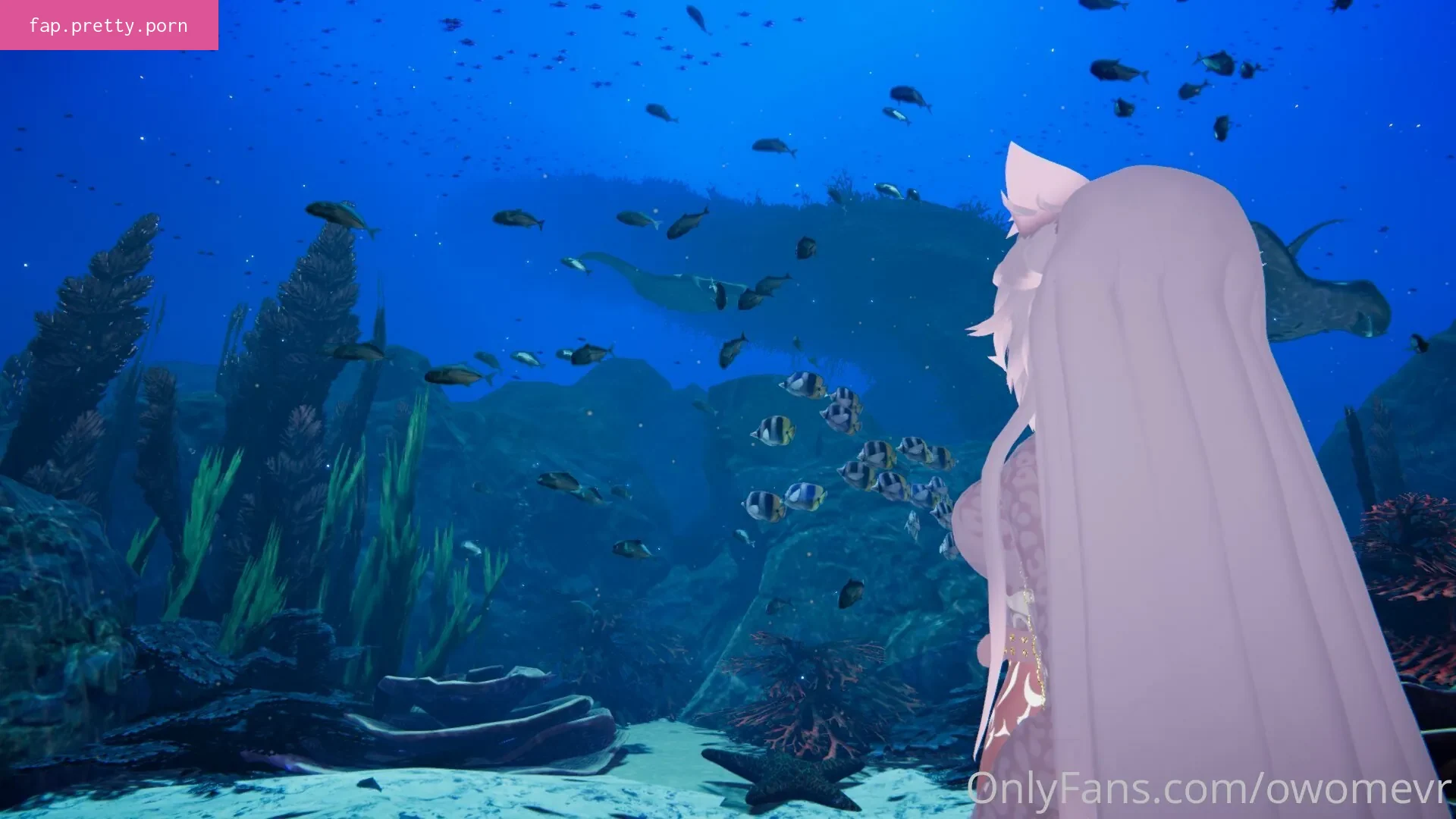owomevr - Photo #23