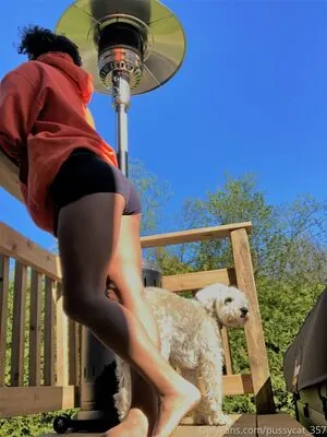 pussycat_357