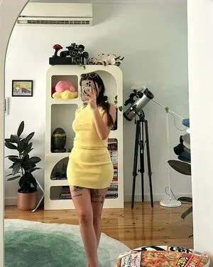 Paladinamber