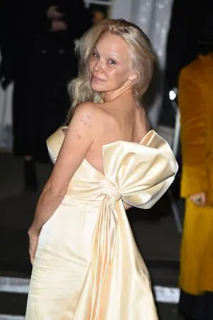 Pamela Anderson