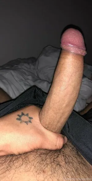papitop