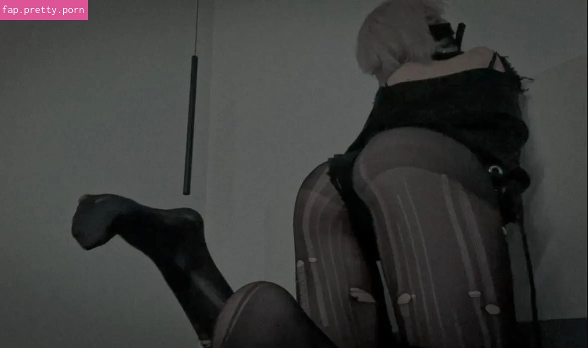 Paradoxy - Photo #23