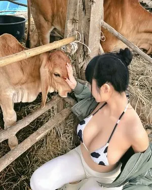 Pattaraporn