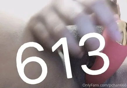 Pchan666