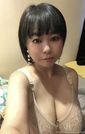 Pchan666