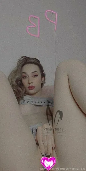 poshbunnyofficial_free