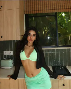 Pakhi Gadh