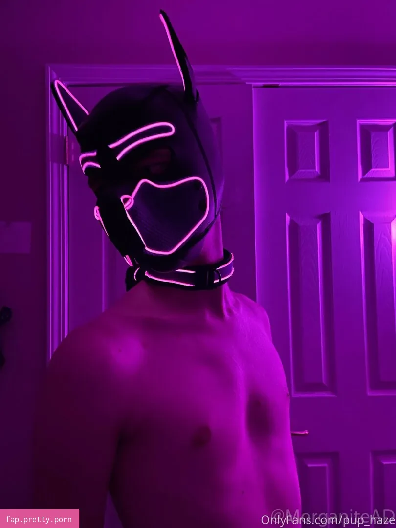 pup_haze - Photo #06