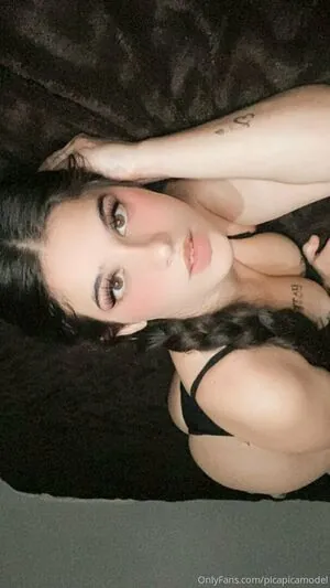picapicamodel