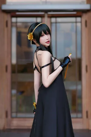 Plant Lily