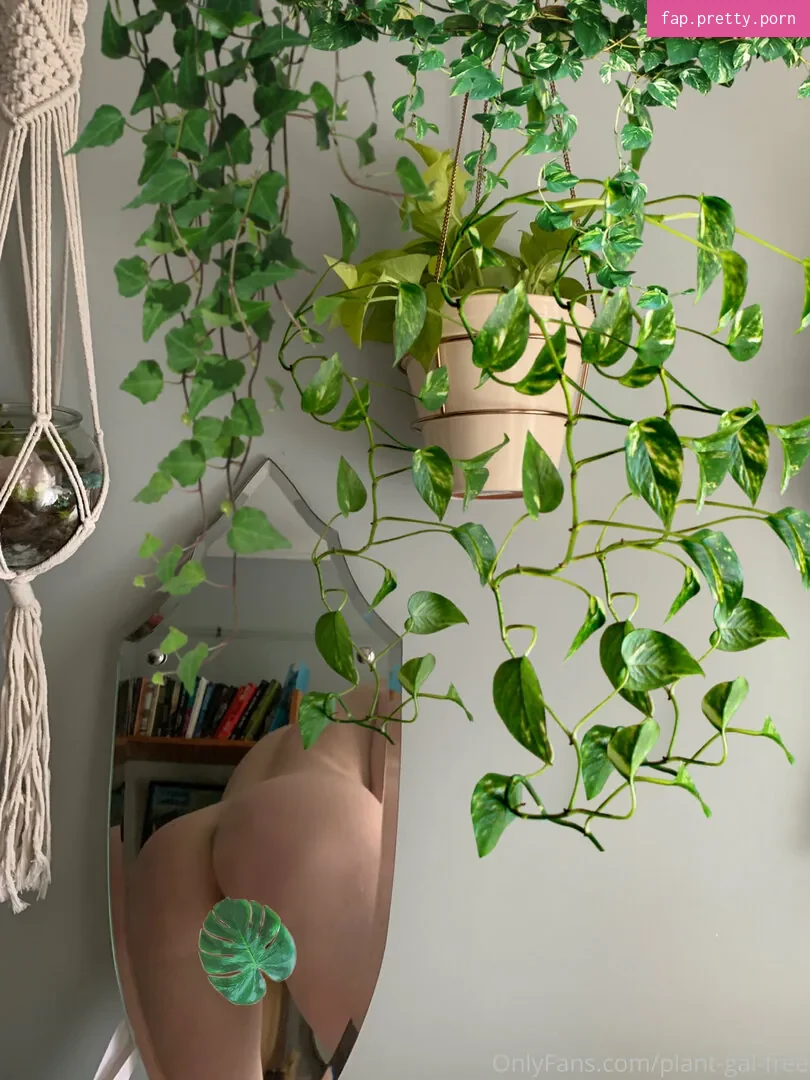 plantgalfree - Photo #29