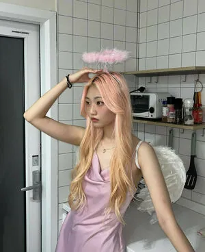 Porojin