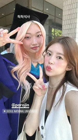 Porojin