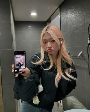 Porojin