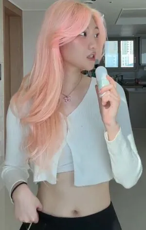 Porojin