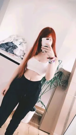 Proxyfox