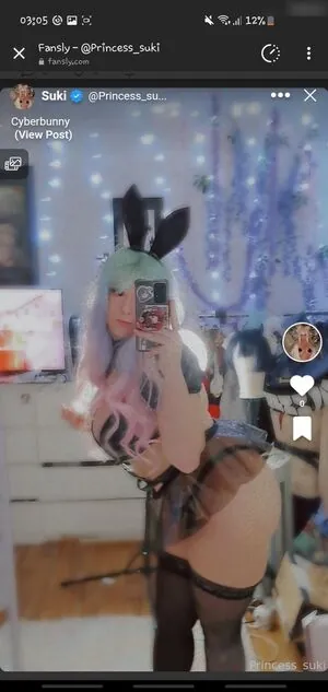 Princess_suki