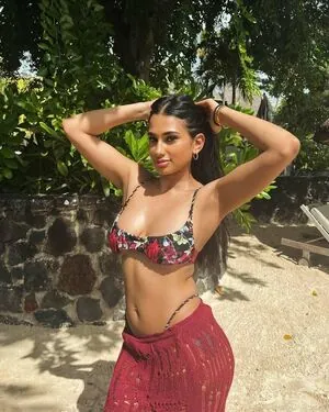 Pujaghedia