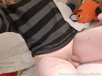 PuppyModer