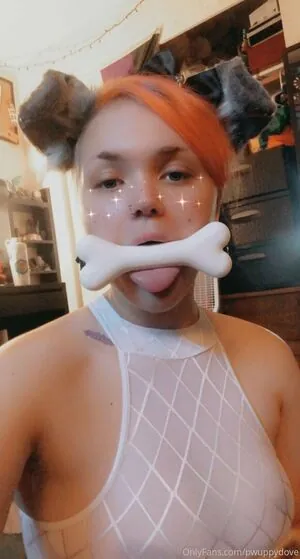 pwuppydove