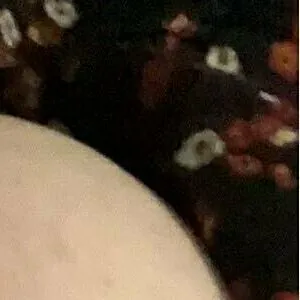 rainfox95