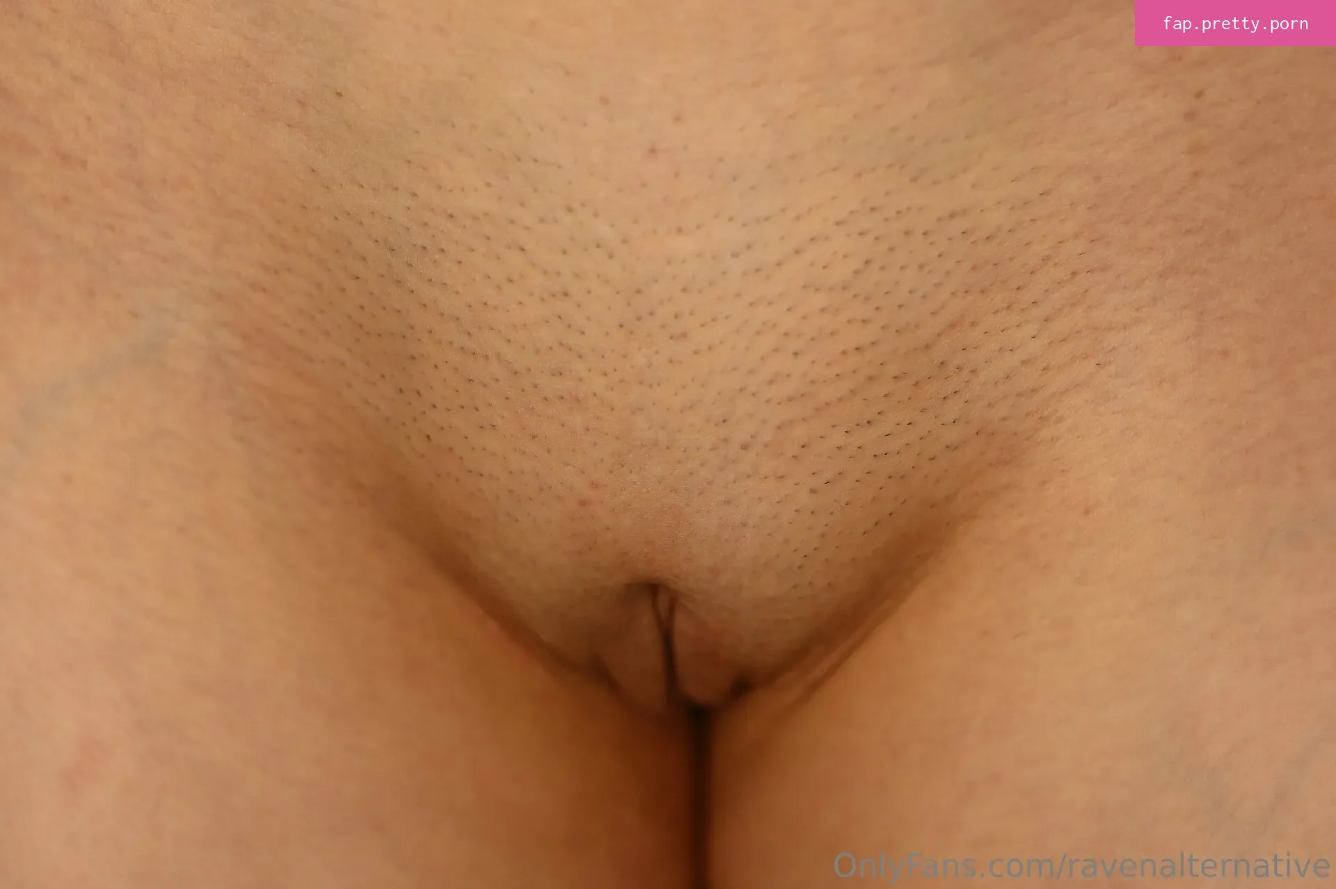ravenalternative - Photo #36