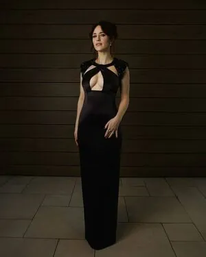 Rachel Brosnahan