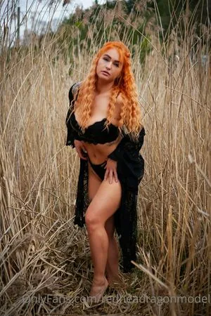 redheadragonmodel